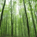 데이&데이 이미지