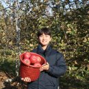 손수현농장 네이버블로그