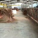 람세스한우농장 이미지