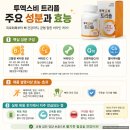 요즘 핫한 투엑스비 트리플이란? 성분·효능부터 복용법·부작용·주의사항까지 총정리