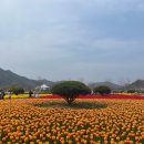 물금1길 이미지