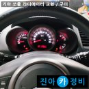 구미라지에타 이미지