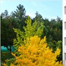 초당대학교 이미지