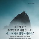 카페 바이올렛 이미지