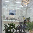 비탈리테쥬얼리 이미지