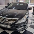 안산점 현대자동차 이미지