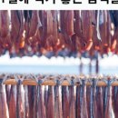 맛좋은녀석들