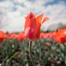 스타힐링센터 이미지