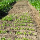 영만농장 이미지