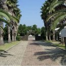 정난주마리아묘? 이미지