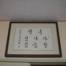 골롬반의원 Daum카페