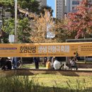 호암어린이공원1 이미지