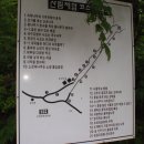 [오토캠핑] 양평 산음자연휴양림 2011.6.24~25 이미지