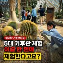 충남야생동물구조센터 | 서천 국립생태원 에코리움 아이랑 가볼만한 곳 5대 기후관 체험 후기