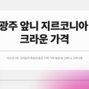 심미치과기공소 | 광주 크라운 앞니 지르코니아 가격 비용
