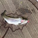 활주로낚시터 이미지