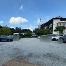 아이리스중화요리 | 대전 지족동 중식당 추천 [아이리스] 옛날탕수육 맛집