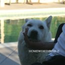 용서농장 이미지