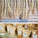 토종채소 가드닝 이미지