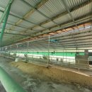 청주목장 이미지