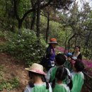 새한신유치원 이미지