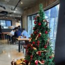 카페586 이미지