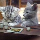 천수약국 이미지