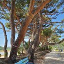 흥해서부초등학교 이미지