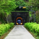 중국단풍길 이미지