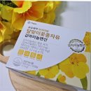 달맞이꽃 | 달맞이꽃종자유 먹는법 효능 건강 관리 후기