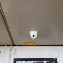 비앤에스채널 이미지