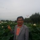 부여(외산)-7 이미지