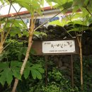 서연 민박 이미지