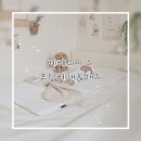 아이 편한 세탁[i 편한 세탁] | 아기침대패드 추천, 세탁 편한 베베스미스 푸딩 베개&amp;푸딩패드 후기
