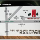대벌 이미지