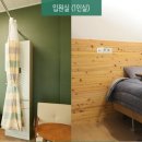 도솔한방병원 이미지