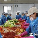 화순리 안덕생활체육관 이미지