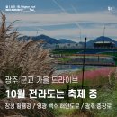 동구_궁동예술의거리_ap4 | 10월 전라도는 가을 축제 중 / 광주 근교 드라이브 코스로 딱!