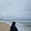 범석농장2 | 강릉 가볼만한곳, 강릉 알파카 + 대관령아기동물농장 찐 후기