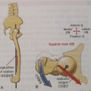 운동사전 이미지