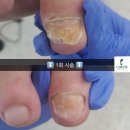 반디인하우스 앤 큐릭스 가산점