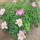 두륜산농장 이미지