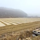 우보면사무소 이미지