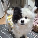 원룸아저씨 | 정들었던 오류동 행복주택을 퇴거하며/짐싸 원룸 이사후기