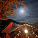 플로라 캠프 이미지