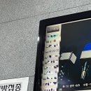 나무하나스쿨 | 12월 안녕👋🏻 나는야 청개구리 🐸🐸
