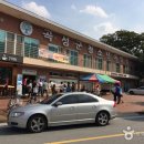 곡성청소년야영장래프팅 이미지