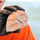 지민우드 이미지