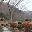 덕산온천관광단지 이미지