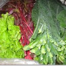 대실농장 이미지